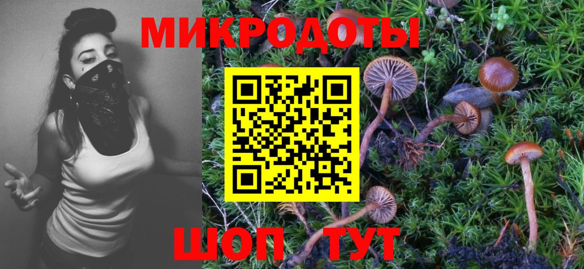 Одинцово  Псилоцибиновые грибы прущие грибы  Вход с VPN 